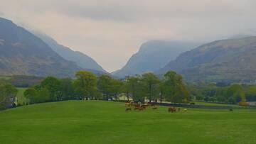 Фото номера Двухместный номер/номер Твин с видом на сад Отель The Dunloe Hotel &amp; Gardens г. Килларни 9