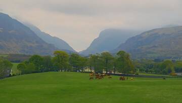 Фото номера Двухместный номер/номер Твин с видом на сад Отель The Dunloe Hotel &amp; Gardens г. Килларни 4