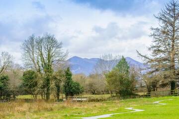 Фото номера Роскошный лодж Люкс-шатры Killarney Glamping at the Grove, Suites and Lodges г. Килларни 19
