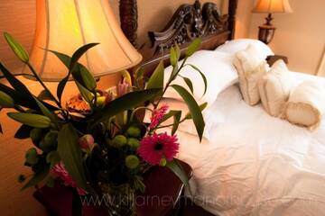 Фото номера Дом с 11 спальнями Дома для отпуска Killarney Manor House г. Килларни 56