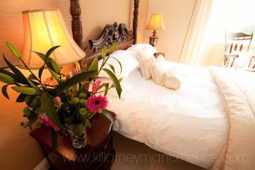 Фото номера Дом с 11 спальнями Дома для отпуска Killarney Manor House г. Килларни 38