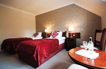 Фото номера Двухместный номер с 2 отдельными кроватями Отель Killarney Riverside Hotel г. Килларни 5