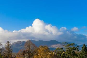 Фото номера Номер Делюкс с кроватью размера &quot;king-size&quot; и видом на сад Отель Great Southern Killarney г. Килларни 6