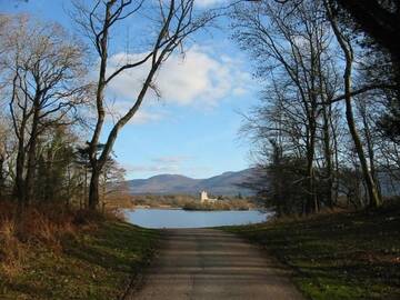 Фото номера Двухместный номер с 1 кроватью Отели типа «постель и завтрак» Crystal Springs B&amp;B г. Килларни 44